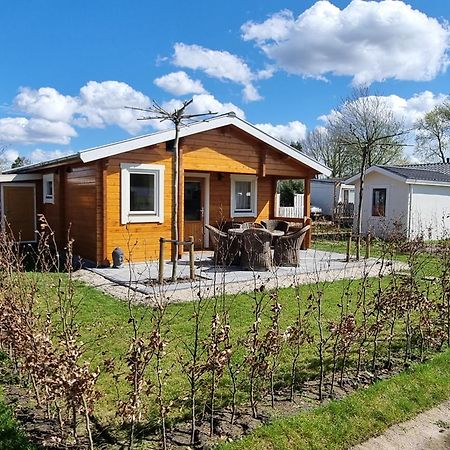 Nieuw - Luxe Blokhut Chalet In Bosrijke Omgeving Anloo Εξωτερικό φωτογραφία