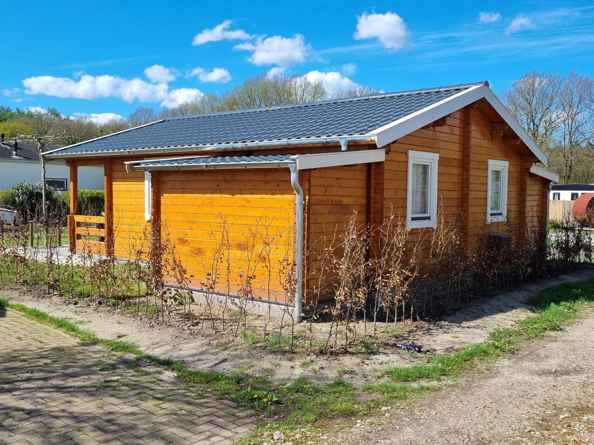 Nieuw - Luxe Blokhut Chalet In Bosrijke Omgeving Anloo Εξωτερικό φωτογραφία
