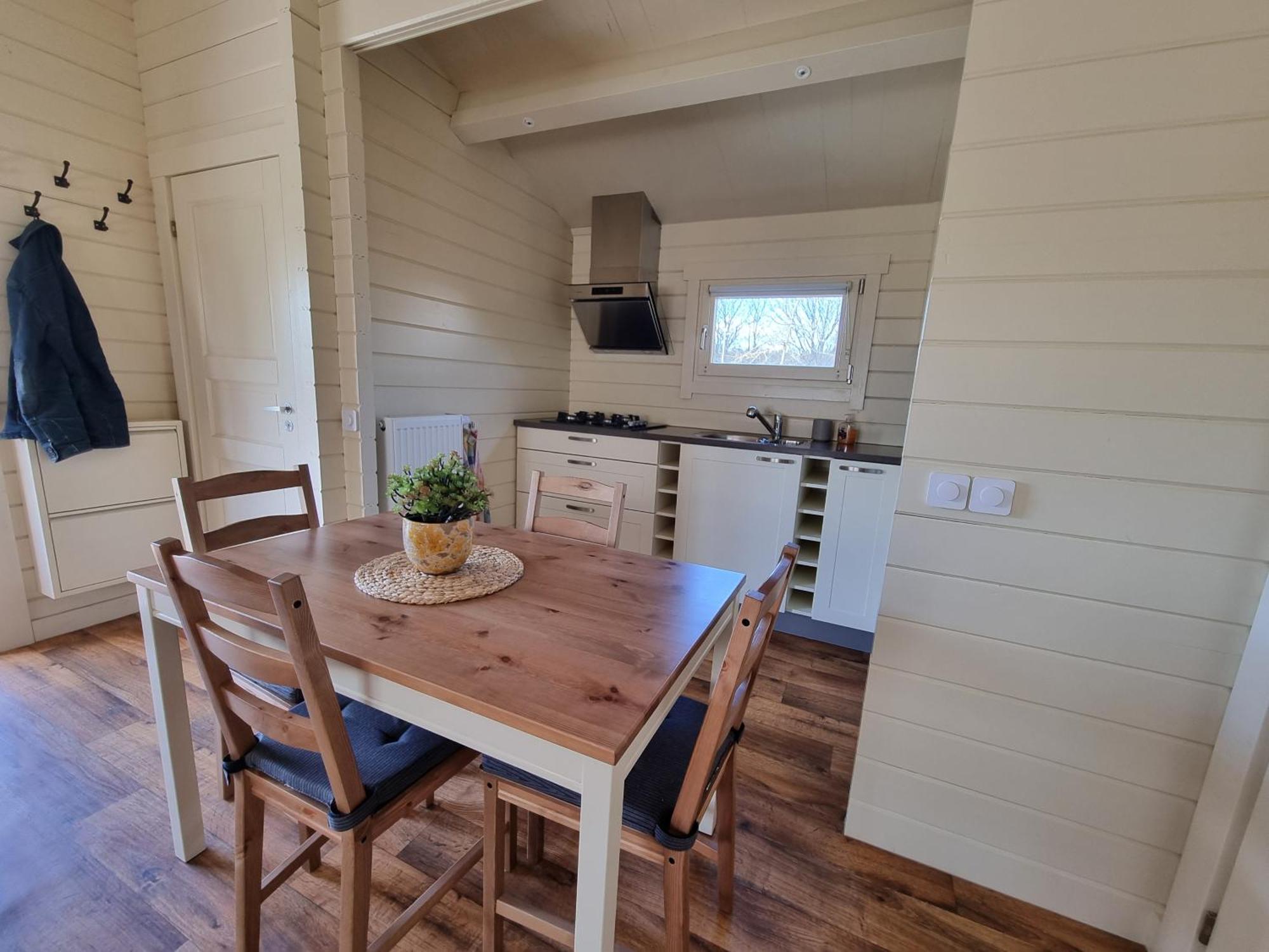 Nieuw - Luxe Blokhut Chalet In Bosrijke Omgeving Anloo Εξωτερικό φωτογραφία