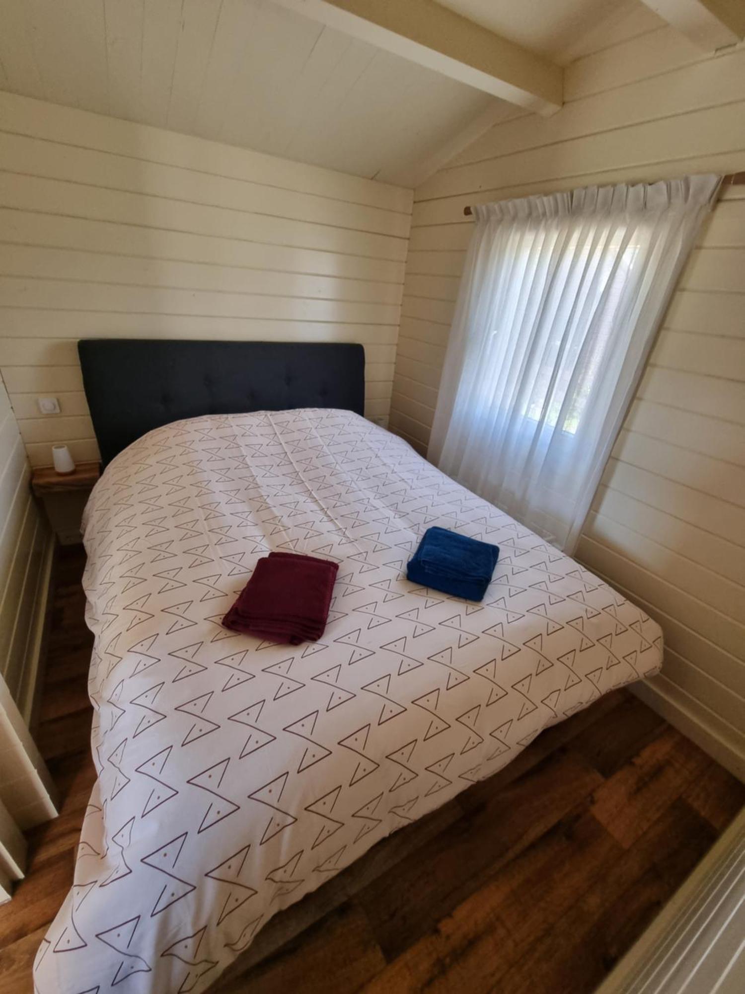 Nieuw - Luxe Blokhut Chalet In Bosrijke Omgeving Anloo Εξωτερικό φωτογραφία
