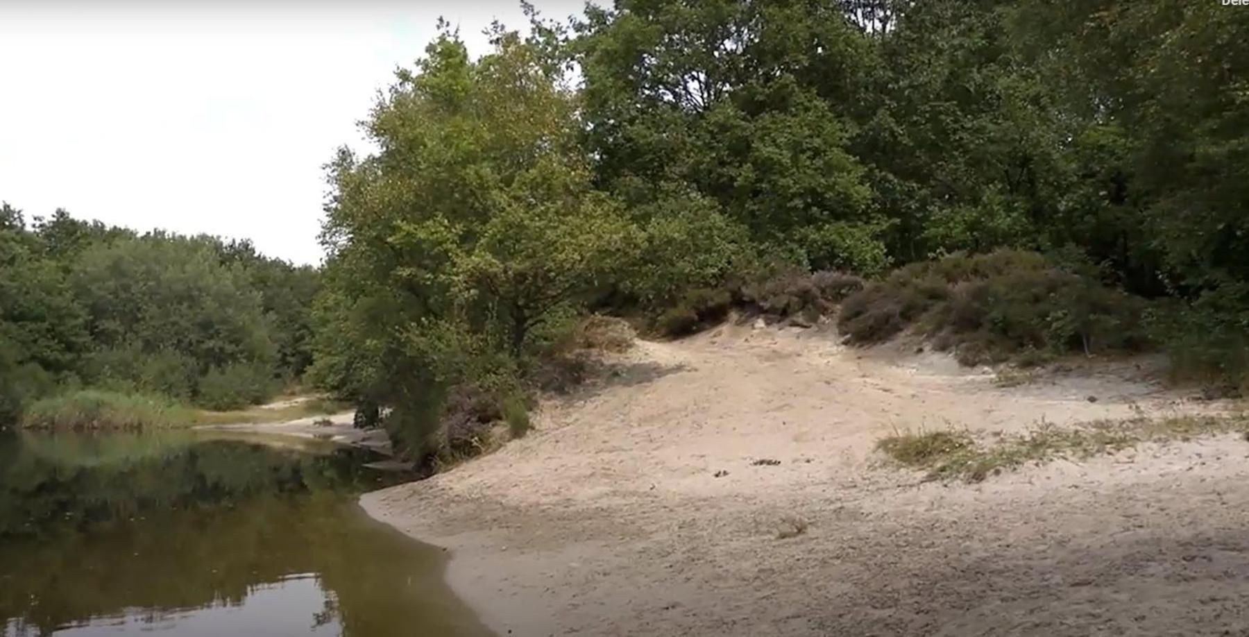 Nieuw - Luxe Blokhut Chalet In Bosrijke Omgeving Anloo Εξωτερικό φωτογραφία