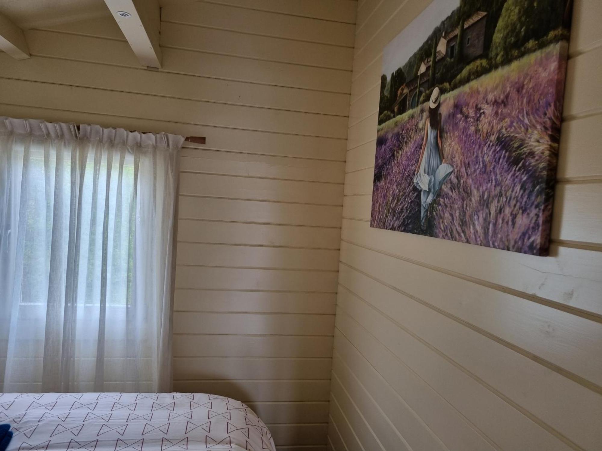 Nieuw - Luxe Blokhut Chalet In Bosrijke Omgeving Anloo Εξωτερικό φωτογραφία